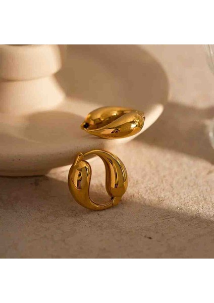 316L Gold Çelik Kararmaz Trend Küpe modelleri