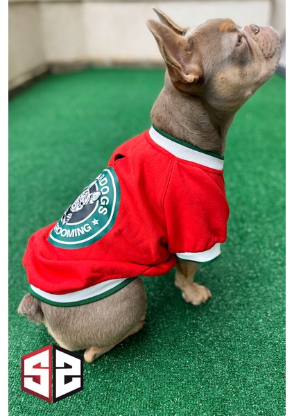 Stardogs Köpek College Ceket, Köpek Kıyafeti, Köpek Ceketi indirimleri