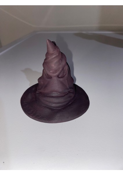 Harry Potter Şapkası