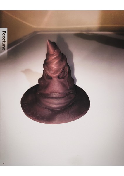 Harry Potter Şapkası