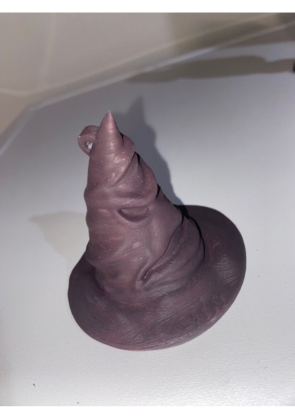 Harry Potter Şapkası