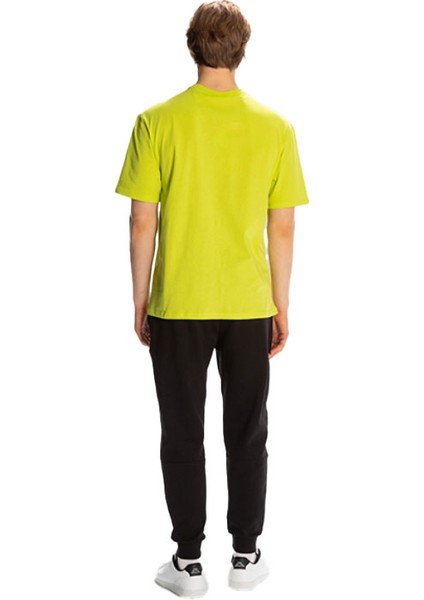 Authentıc Alvın fiyatları