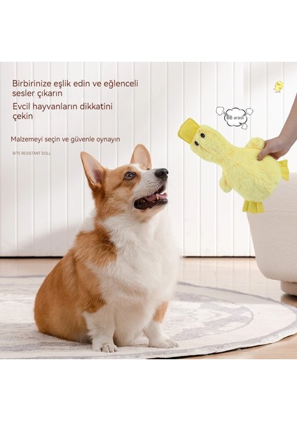 Simülasyon Sesli Ördek Köpek Oyuncakları (Yurt Dışından)