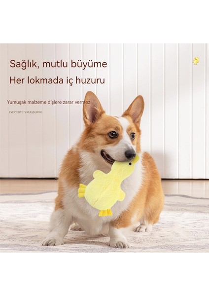 Simülasyon Sesli Ördek Köpek Oyuncakları (Yurt Dışından)