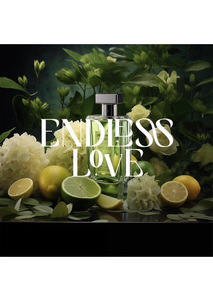 Endless Love Auramax Koku Kartuşu 250 ml