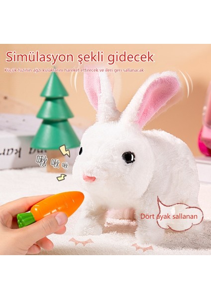 Love Home Çocuk Elektrikli Simülasyon Tavşan Peluş Oyuncak Kız Evcil Hayvan Beyaz Tavşan Bebek Bebek Kız Doğum Günü Hediyesi Besleme Şarj 10 Parça Set (Yurt Dışından)