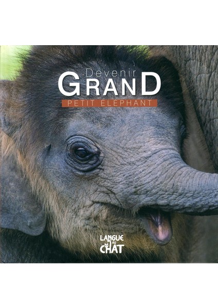Devenir Grand Petit Elephant - Pierre Demoitie