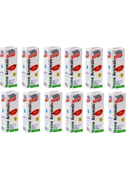 Diş Pastası 90 gr Nane Aromalı 12 Adet