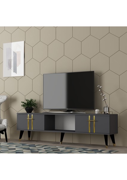 Asel Tv Sehpası (Alt Modül) Antrasit-Altın