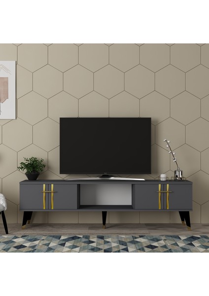 Asel Tv Sehpası (Alt Modül) Antrasit-Altın