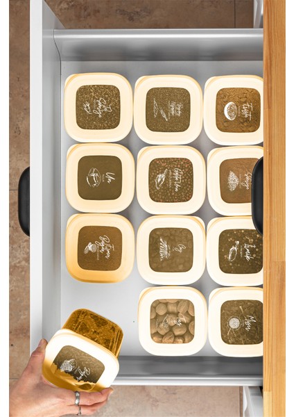 12LI 1,2 Litre Poly Kapak Çizgili Desenli Saklama Kabı Gold Beyaz Serigrafi Etiketli