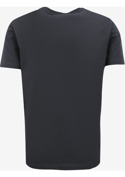 Antrasit Erkek Bisiklet Yaka T-Shirt D4SM-TST3290 fiyatları