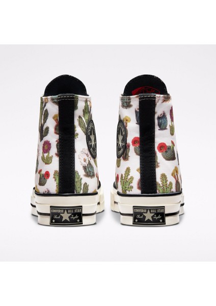 Chuck 70 Succulent Print
