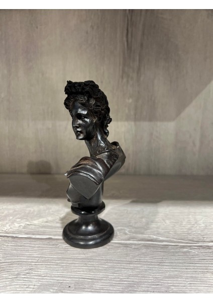 Reçine Iskender Biblo fiyatları