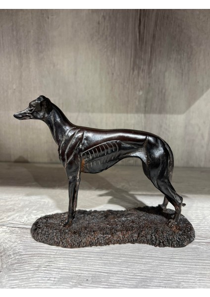 Reçine Tazı Biblo modelleri