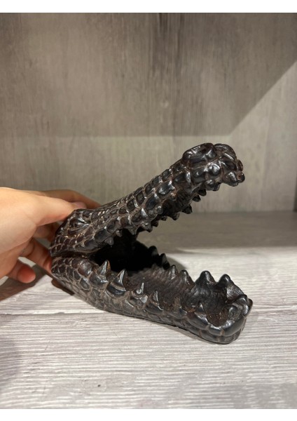 Reçine Timsah Kafası Küllük fırsatları