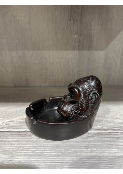 Reçine Şempaze Küllük modelleri