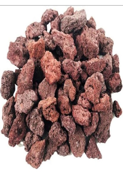 3'lü Peyzaj Seti Viburnum Fidanı Kırmızı Petunya Çiçeği Curf