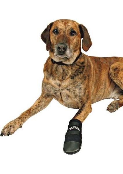 Köpek Patiği Neopren 2 Adet Xxl Siyah 141036