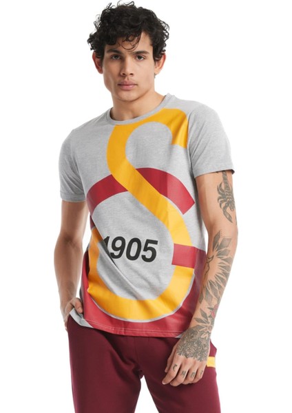 Lisanslı Büyük Logolu Gri T-Shirt Hediye Aslan Ahşap Kutulu fırsatları