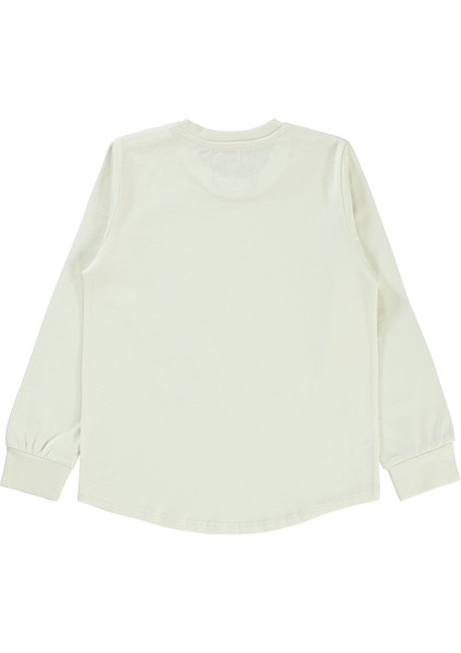 Erkek Çocuk Sweatshirt 6-9 Yaş Fil Dişi fiyatları