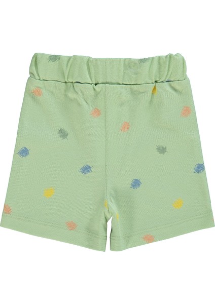 Erkek Bebek Şort 6-18 Ay Soft Yeşil fiyatları