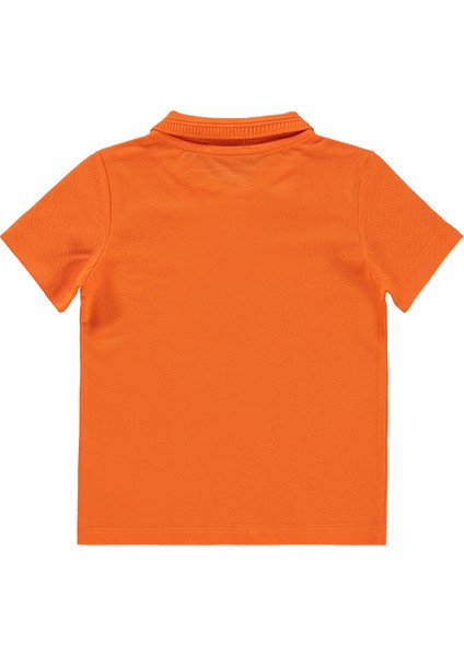 Erkek Çocuk Tişört 2-5 Yaş Oranj fiyatları
