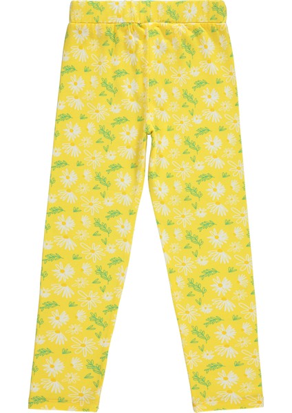 Kız Çocuk Tayt 6-9 Yaş Ananas fiyatları