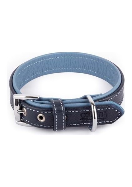 Xs 2 5 cm Tasma Navy Cyan