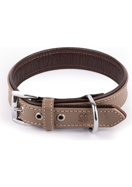 Xs 2 5 cm Tasma Beıge Brown