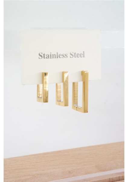 Kadın Vip Seri 316 L Paslanmaz Çelik Didörgen Model 3'lü Küpe Seti fiyatları