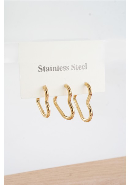 Kadın Vip Seri 316 L Paslanmaz Çelik Kalp Model 3'lü Küpe Seti