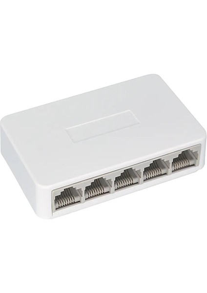 Bg-S-01 5 Port Switch