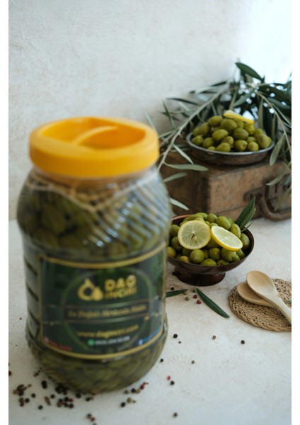 Kırma Zeytin 2 kg fiyatları