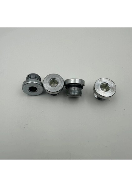 M26X1.5 Alyan Başlı Tapa