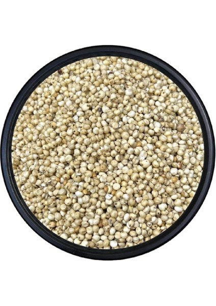 Ithal Ağdarı Beyaz Sorgun Kuş Yemi 5 kg