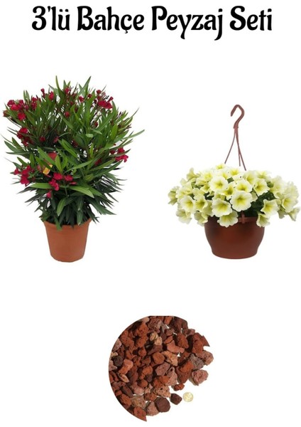 Kırmızı Zakkum (30-60 cm)+Sarı Petunya Çiçeği (20-30 cm)+ 2 Lt Curf Dekoratif Taş 3'lü Peyzaj Seti