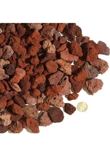 Altuni Taflan (15-30 cm)+Sarı Petunya (20-30 cm)+ 2 Lt Curf Dekoratif Taş 3'lü Peyzaj Seti