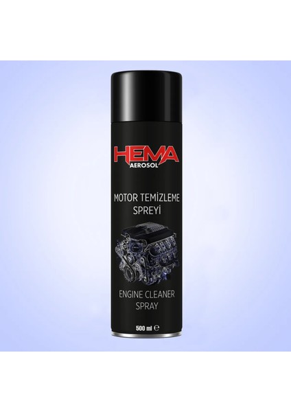 Motor Temizleme