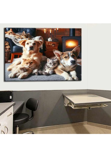 Pet Center Dekorasyon Veteriner Kliniği Tabloları VTR26