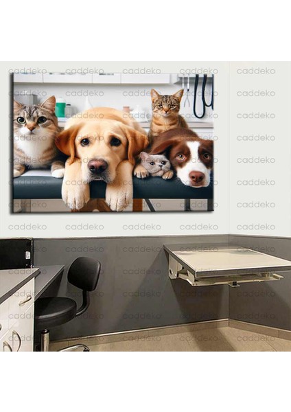 Pet Center Dekorasyon Veteriner Kliniği Tabloları VTR29