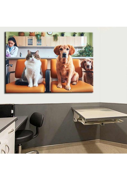 Pet Center Dekorasyon Veteriner Kliniği Tabloları VTR24