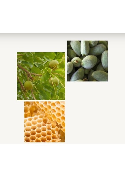 Loccıtane Shea Butter Hand Cream - Shea El Kremi 150ml indirimleri