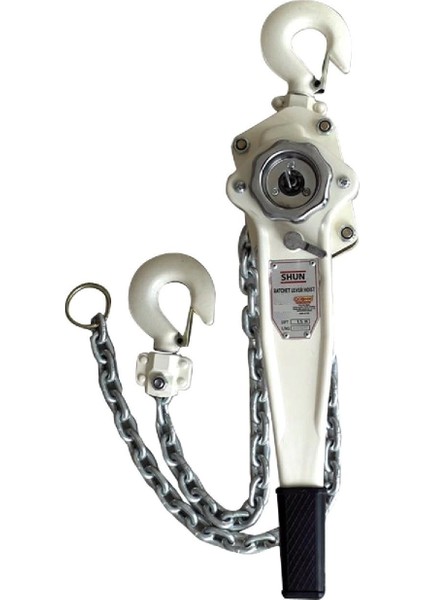 Hubzug Zincirli Çektirme Vinç 3,2 Ton 1,5 M
