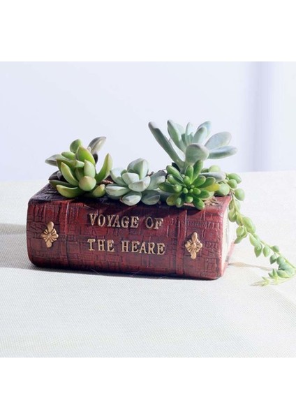 Voyage Of The Heare Kitap Saksı Silikon Kalıp K-582 fırsatları