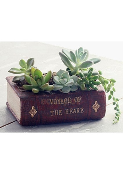 Voyage Of The Heare Kitap Saksı Silikon Kalıp K-582 indirimleri