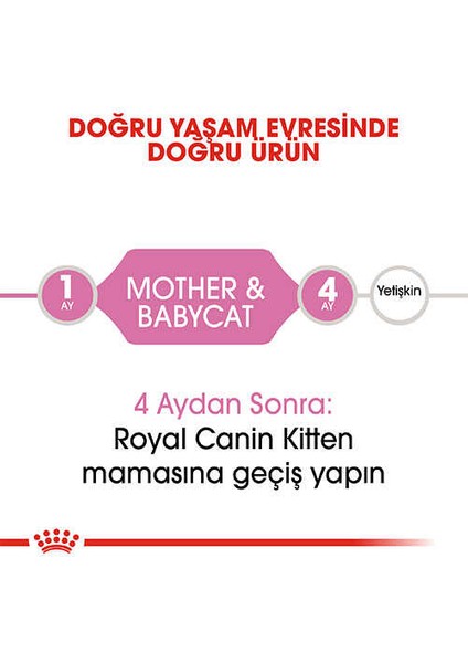 Mother & Babycat Konserve Yavru Kedi Maması 195 gr