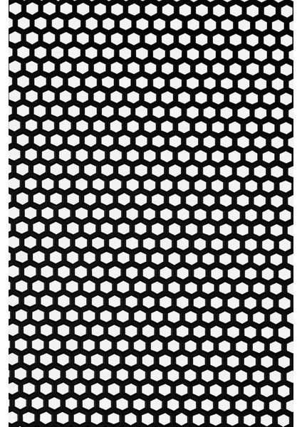 Kaydırmaz Siyah Bal Petek Paspas EN:90CM 90 x 350