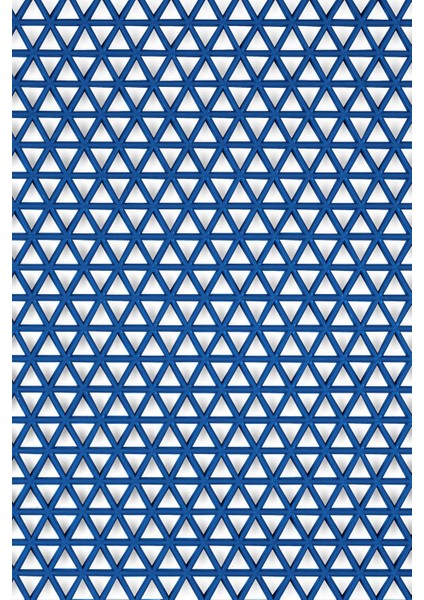 Kaydırmaz Mavi Yıldız Paspas EN:90CM 90 x 700