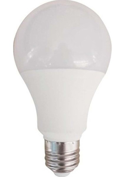 LED Ampul 9W Günışığı